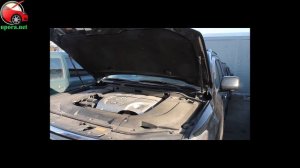 Упоры / амортизаторы капота на Lexus LX 200 / Toyota Lend Cruiser 200 '07-22