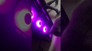 Deepcool DF1202512CM