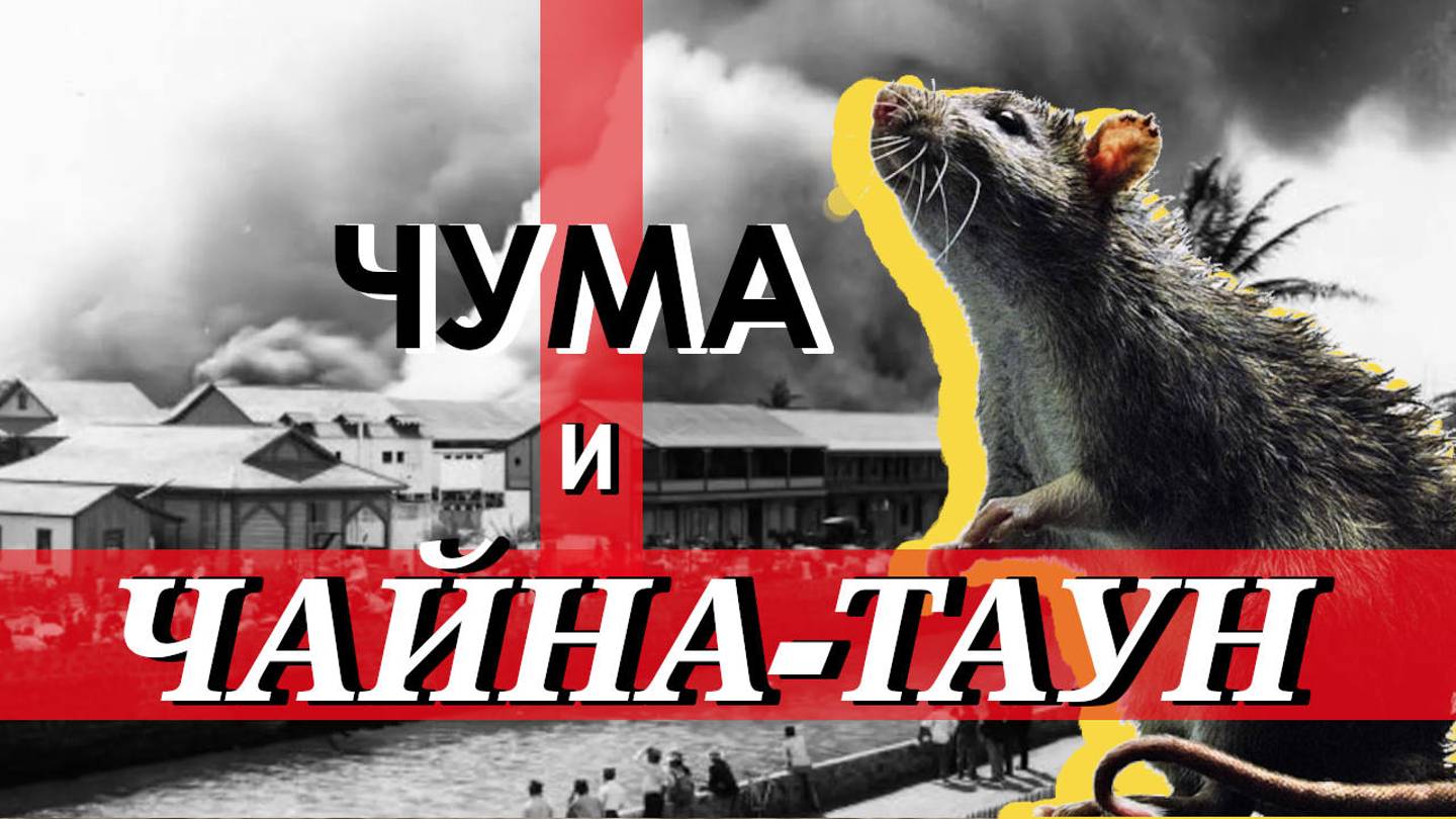 Чума в США. Виноваты китайцы?