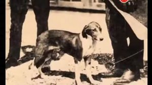 Таинственный мир гормонов 2014