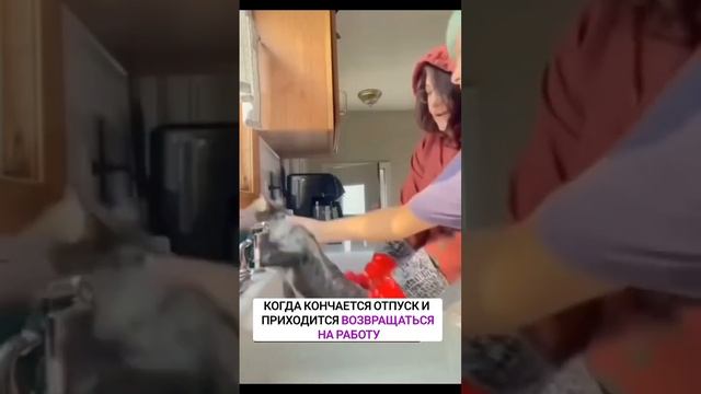 Когда кончается отпуск…