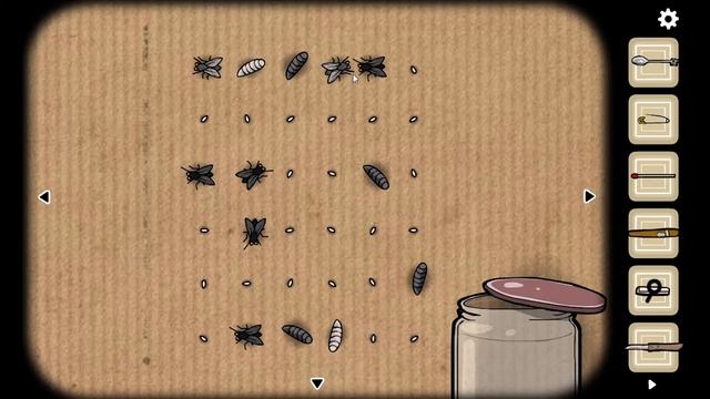 ИСТОРИЯ ПОПУГАЯ ● Cube Escape Collection #3 [Прохождение Cube Escape: Harvey's Box]