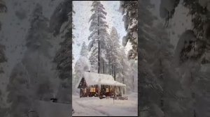 ХОДИТ ПЕСЕНКА ПО КРУГУ 1000038916.mp4