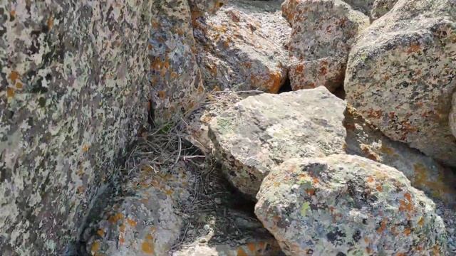 Подъём на самую вершину горы Моголтау в городе Худжанд Согдийской области Таджикистан ...