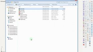 Реверс - АвтоПечать - 1 - Общие данные