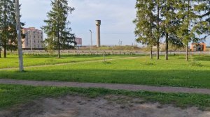 Ленинградская область.лето