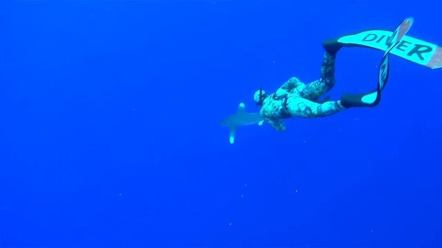 How to Relax while Spearfishing, Enjoy it Pt 2 смотреть онлайн