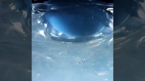 Теперь 3D-принтер может печатать в геле