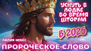 ПРОРОЧЕСКОЕ СЛОВО: УСНУТЬ В ЛОДКЕ ВО ВРЕМЯ ШТОРМА В 2025 ГОДУ. 
Лилия Небес