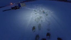 НАЛИМ НА СТУК | ЖЕРЛИЦЫ