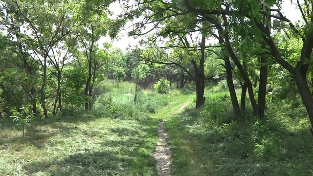 Прогулка к Каховскому водохранилищу 30 05 2015  г  Днепрору