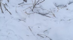 аккумуляторная цепная пила Деко deko