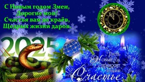 С Новым 2025 годом сталкеры!