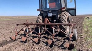 Посадка картофеля на МТЗ-82 2019