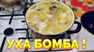 Уха из форели самая лучшая ухичка !