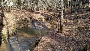 оз Муловское - Козырёк 25 02 2024