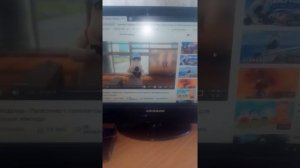 Бернард муд #1