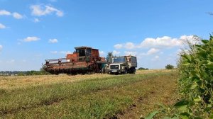 Уборка пшеницы на своих огородах комбайном ДОН 1500А