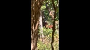 Он просто осматривал достопримечательности и наслаждался днем