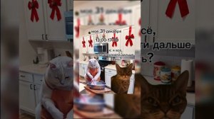 ПРИКОЛ 31 ДЕКАБРЯ!!!🎅