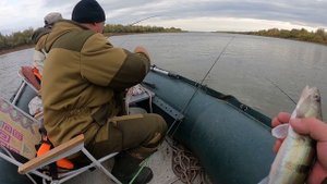 Рыбалка в Астрахани. Крайний день. Рядом ловил Журалайф. Бешеный клёв судака и берша.