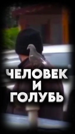 🕊ДРУЖБА С ПТИЦЕЙ🕊