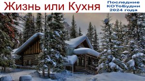 Жизнь и Кухня или КОТоБудни от 31.12.2024 г.