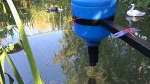 Маятниковая кормушка для пруда
