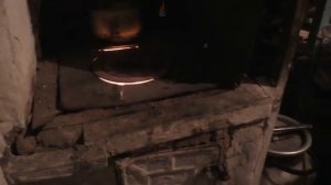 Кошки окружили   ждут вкусного