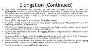 DNA Replication: An overview