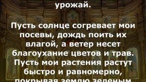 Молитва чтобы всё росло в огороде