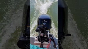 2021 Tohatsu MFS20E EFS