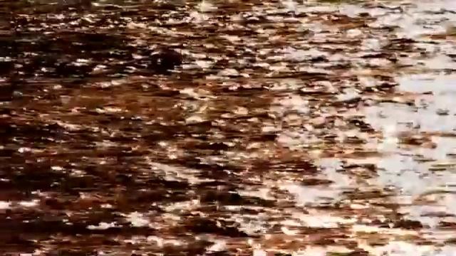 О художнике Николае Блохине смотреть онлайн