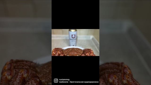 Первое января. Доброе утро😁