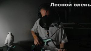 Лесной олень