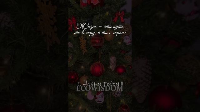 С Новым ГОДОМ!!! С наилучими пожеланиями канал ECOWISDOM #сновымгодом #поздравление #ecowisdom