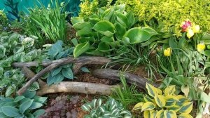 Снимаю сад и болтаю.