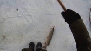 31 декабря всегда ловится