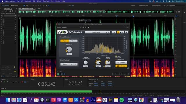 Forget RX10 and Use Acon Digital's DeVerberate 3 Instead