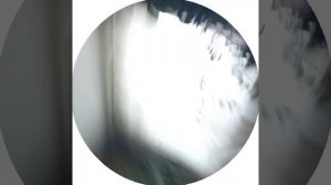 как качаться мой брат Коля