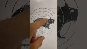 хатсан 125 с пулями люман 0.68 hatsan 125 air gun
