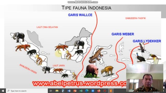 Persebaran Fauna di Indonesia смотреть онлайн