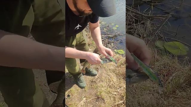 Моя первая щука Сезона 2023! 1 этап Турнира по ловле с лодок "НА КРЮЧКЕ" #олонгро #olongro_nsk