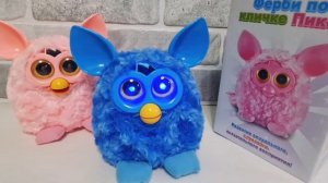 Ферби по кличке Пикси