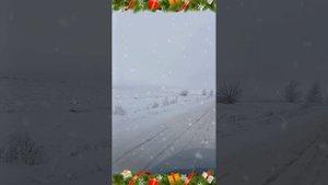 1000029223.mp4