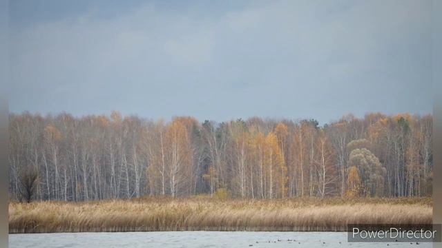 Новая жизнь (Липецкая обл.) Липецкое водохранилище 30.10.22