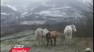 Tелекомпания CNN посвящает подробный репортаж оккупированным территориям Грузии