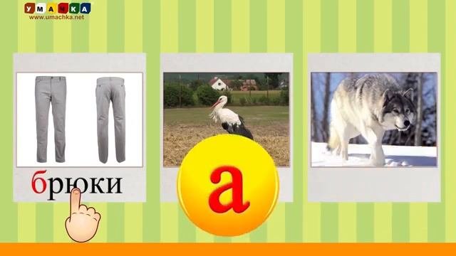 Кругляшик