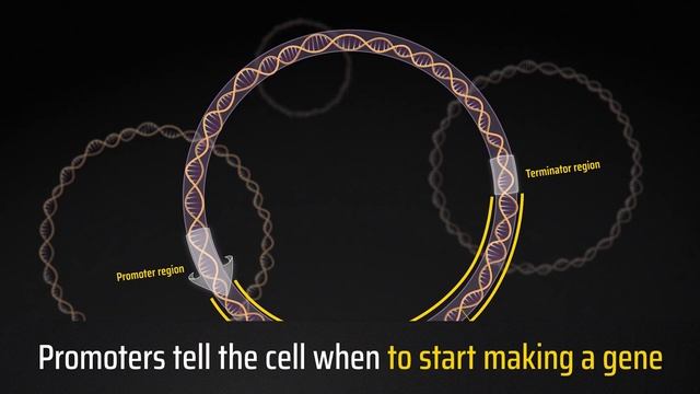 Ep 1 - Biohacking: A Beginners Guide to Reprogramming DNA