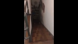 Женщина начала слышать скрежет и посторонний звук в своём доме